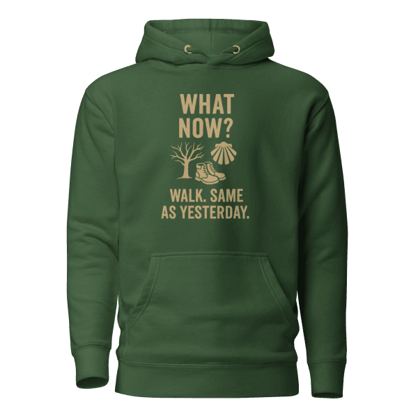 What Now? Walk, Same as Yesterday | Unisex Hoodie