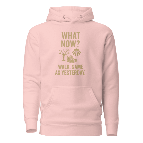 What Now? Walk, Same as Yesterday | Unisex Hoodie