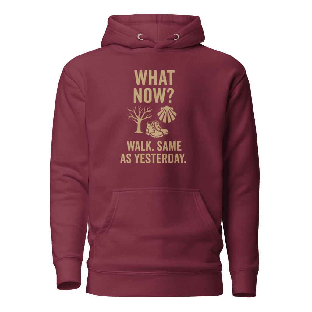 Camino de Santiago Hoodie | What Now? | Fun Design