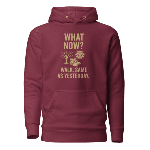 What Now? Walk, Same as Yesterday | Unisex Hoodie
