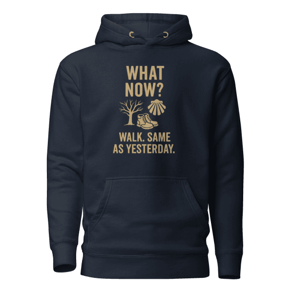 What Now? Walk, Same as Yesterday | Unisex Hoodie