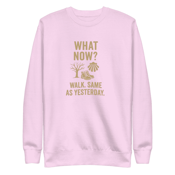 What Now? Walk, Same as Yesterday | Unisex Sweatshirt