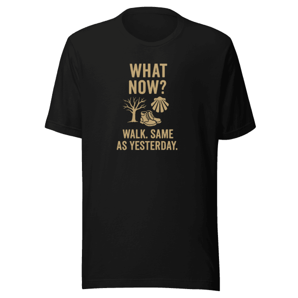 What Now? Walk, Same as Yesterday | Unisex Tee