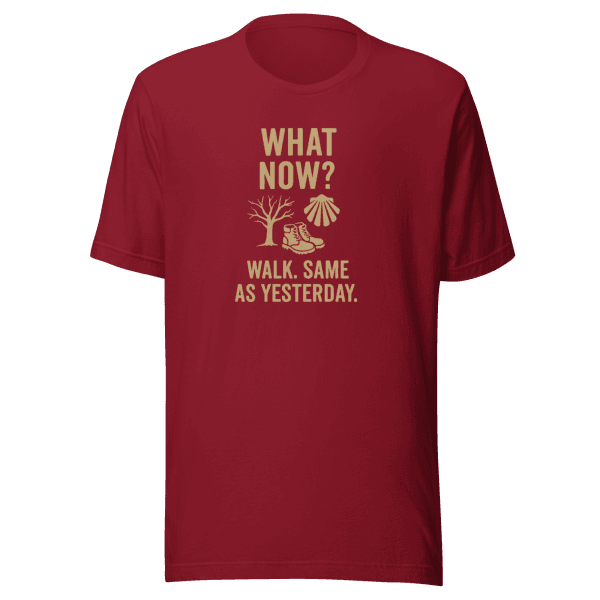 What Now? Walk, Same as Yesterday | Unisex Tee