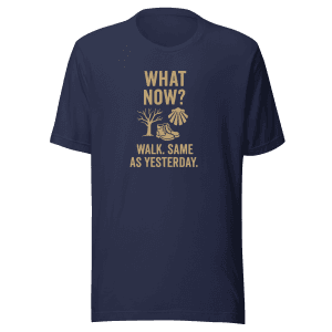 What Now? Walk, Same as Yesterday | Unisex Tee